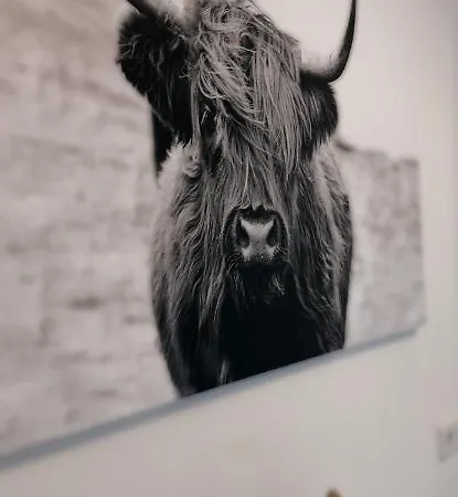 Apartamento Zentrumsnahe Chemnitz