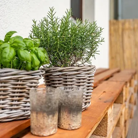 Zentrumsnahe Apartamento