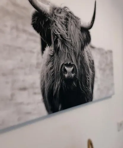 Апартаменты Zentrumsnahe Хемниц